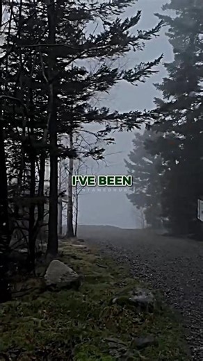 How Wolves Hunt Hungry Grizzly Bears