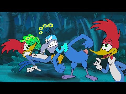 Pica-Pau Luta Contra um Pavão! 🦚 | Pica-Pau em Português