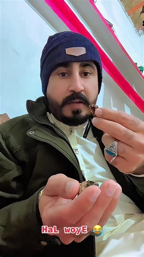 HaL woyE: Fun and Laughter on Social Media