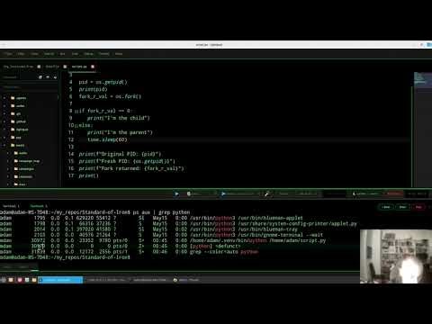How to create ZOMBIES in Python?