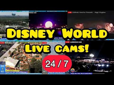 🔴 LIVE Disney World 24/7 🎆 Magic Kingdom, EPCOT, Weather & Wait Times