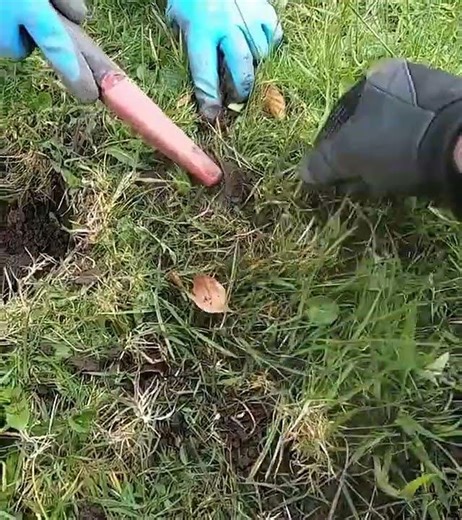 Gold or Silver ? It's Such a Strong Signal #shorts