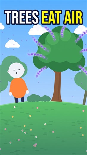 What If You Could See CO2? 🌳 #whatif #science #shorts
