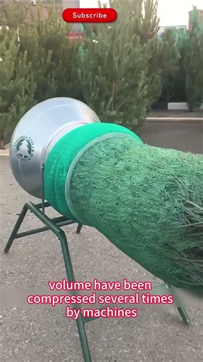 Why Christmas Trees EXPLODE After Unpacking #Science #Engineering