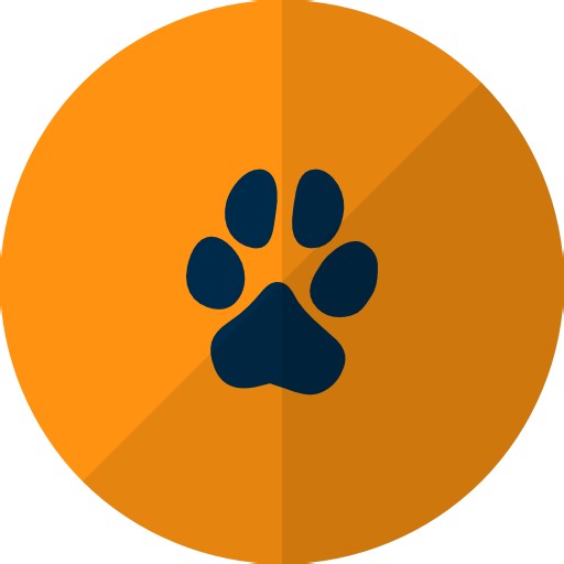 Are Stimson Pythons Good Pets