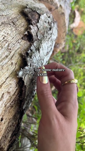 I love tree scratching and bark sounds so much 🌲 #asmr #natureasmr #treeasmr #asmrforsleep #notalkingasmr