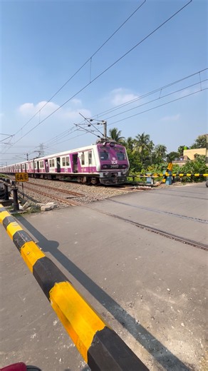 Pink Emu at Railgate #shorts