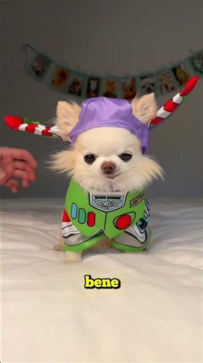 Can you survive a nuclear bomb if you hide inside a cockroach? (credits: @zackdfilms)