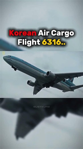 The Pilot Abruptly Dived the Plane On Purpose! 😱
