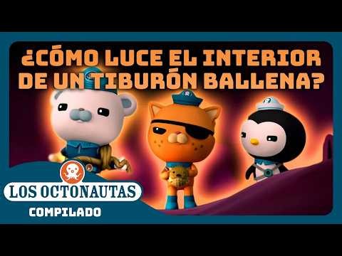 Los Octonautas - 🦠 El vientre de la bestia 🐋 | Episodios Completos