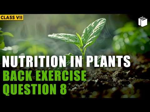 Question 8 | Back Exercise | Chapter 1 | Class 7 Science | PuStack
