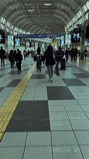 Nobody Talks Everyone Watches | Shinagawa Tokyo Train Station