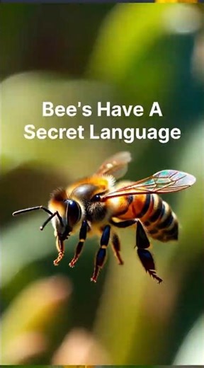 Bees Have a Secret Language 👀 #didyouknow #viral #funfacts