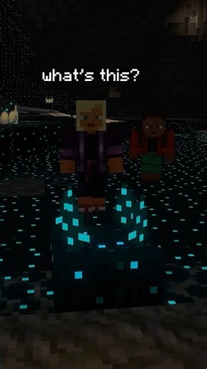 WHEN SIBLINGS PLAY MINECRAFT