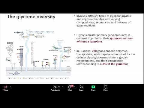 Microbial Proteomics Explained | Innovations in Chemical Biology, Mass Spectrometry Glycoproteomics