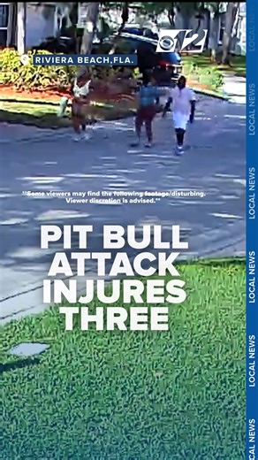 PIT BULL ATTACK | Police are investigating a dog attack that left three people injured on Tuesday afternoon in a Riviera Beach neighborhood. CBS12's Antoinette DelBel has the story. Read more: https://bit.ly/3YuA1EN | CBS 12 News