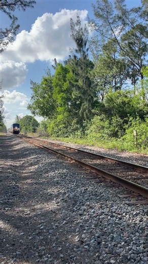 Amtrak Silver Meteor Soutbound To West Palm Beach