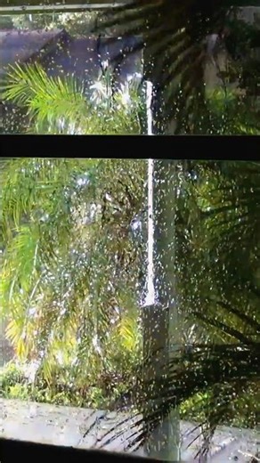 Power Transformer VS Hurricane #hurricane #hurricaneirma #powertransformer #transformer #explosion