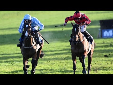 The Big Westerner downs Jade De Grugy at Limerick | Racing TV