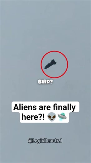 I thought this was a UFO landing! 💀🛸 #reaction #shorts #viral