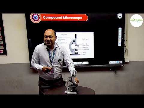 Compound Microscope