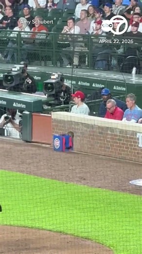Huge rat spotted during Cubs game