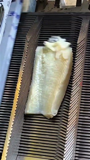 Precision Engineering Meets Commercial Seafood Processing for Efficient Fish Skinning #seafood