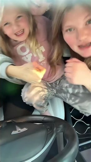 My SUNROOF was too TiNTED!