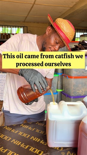 We have pure catfish oil available on the farm a by-product from our own catfish processing at Tiki Fish Farms & Smokehouse, Akure. After extraction, the oil was allowed to settle and separated into two grades: 🟡 (CLEAR) CATFISH OIL • Very clean and clear • Suitable for cooking, frying & all vegetable-oil uses • 10 liters – ₦45,000 (₦4,500 per liter) • Available quantity: 220 liters 🟤 (SLUDGE) CATFISH OIL • Same oil, same production • Contains natural particles from the fish viscera • Popular 