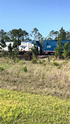 Freight Interference of Amtrak SIlver Meteor