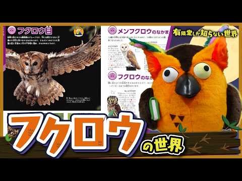【クイズで学ぶ】フクロウの世界～有隣堂しか知らない世界424～