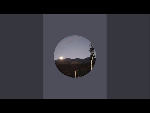 Live camera360 2024 #EarthCam #TV #for #Amazon #Fire #TV #Apple TV #Android TV #youtube