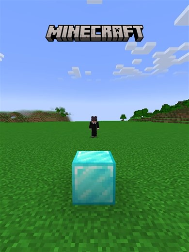 Minecraft: Become the Block You Touch
