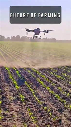 Modern Agricultural Drone Spraying Young Crops In Rural Fields