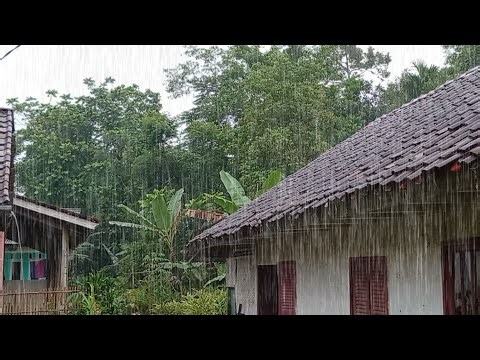 “Soothing Heavy Rain in a Remote Village — Sounds for Sleep, Study & Stress Relief”