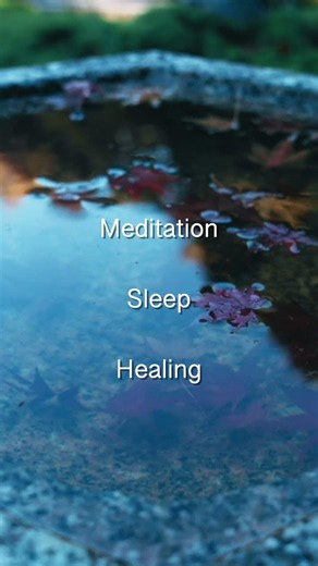 24/7 Heart Sutra Zen Live is now streaming 🌊