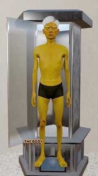 How Plastination Turns Bodies Into Specimens