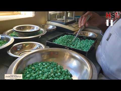 West Africa taps into Zim’s hybrid seed production #hstvzim