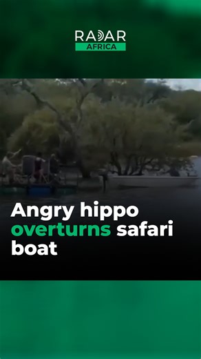 An angry hippo overturned a safari boat at Kruger National Park, South Africa. Luckily, the boat was empty. | Radar Africa