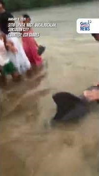 Dolphin, nailigtas matapos na mapadpad sa baybaying bahagi ng Sorsogon City | GMA Integrated News