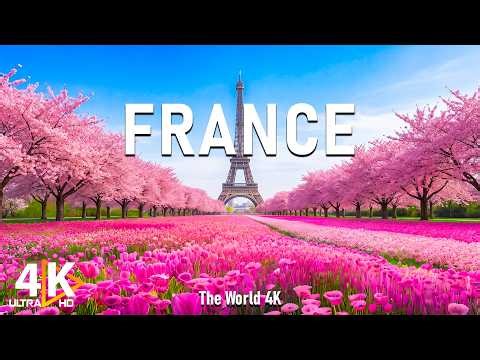 France 4K – Spring in Bloom with Lavender Fields, Charming Villages & Rolling Vineyards