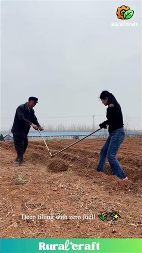 Traditional Manual Plowing vs. Modern Machinery! 🚜 Who Wins the Battle for the Field?! #farming