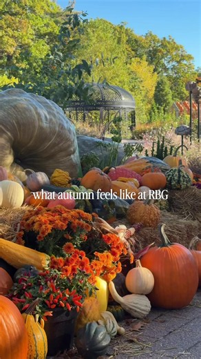 RBG Great Pumpkin Trail Day Visits — See 15,000  Pumpkins Until Nov 1
