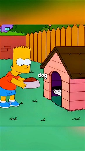 Bart found new dog #simpsons
