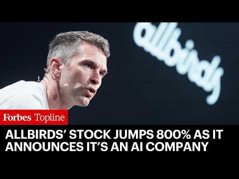 Shoemaker Allbirds Suddenly Says It’s An AI Company