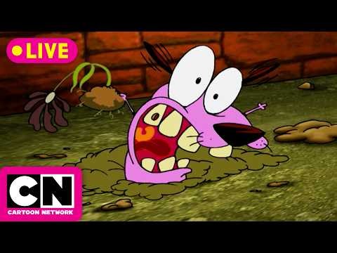🔴 LIVE | Trick-Or-Toon 🎃👻🦇 | Cartoon Network