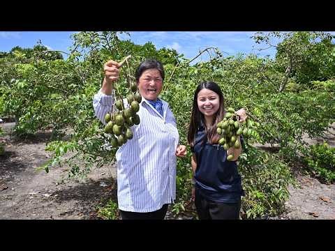 Atoz CarbonCycle x Alphaswift | SIDEC Collaboration