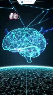 “Rent a Human” in AI? The Secret Behind Reliable AI Systems