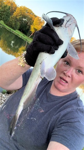 Fishing for Foxes: How I Caught Bluegill & Catfish at a Tiny Lake