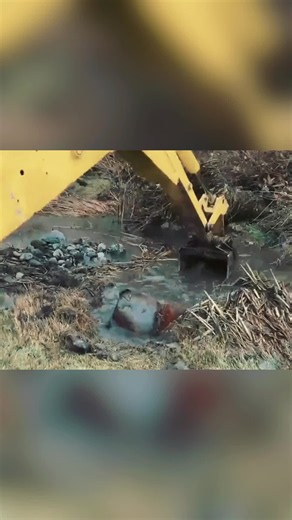 Hidden cash in riverbank discovery: how much money was found?